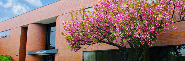 Regazzini of Combined Properties arranges 9,038 s/f lease <br> renewal to NICE North America at Two Corporation Way